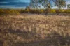 824 Weranga North Road, Weranga, Qld 4405-Image