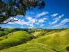 86 McNaughtons Road, Wild Dog Valley, Vic 3953
