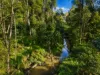 86 McNaughtons Road, Wild Dog Valley, Vic 3953-Image