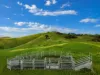 86 McNaughtons Road, Wild Dog Valley, Vic 3953-Image