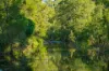 878 Rossmore Road, Kilkivan, Qld 4600-Image