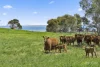 90 Baynes Road, Corunnun, Vic 3249-Image