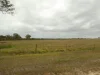930 Berries Road, Golden Fleece, Qld 4621-Image