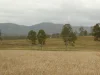 930 Berries Road, Golden Fleece, Qld 4621-Image