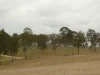930 Berries Road, Golden Fleece, Qld 4621-Image
