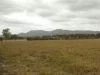 930 Berries Road, Golden Fleece, Qld 4621-Image