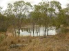 930 Berries Road, Golden Fleece, Qld 4621-Image
