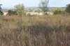 9372 Mt Lindesay Road, Tamrookum, Qld 4285-Image
