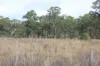 9372 Mt Lindesay Road, Tamrookum, Qld 4285-Image