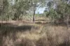 9372 Mt Lindesay Road, Tamrookum, Qld 4285-Image