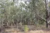 9372 Mt Lindesay Road, Tamrookum, Qld 4285-Image