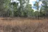 9372 Mt Lindesay Road, Tamrookum, Qld 4285-Image