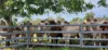 99 North Pattens Road, Boynewood, Qld 4626-Image