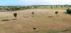 99 North Pattens Road, Boynewood, Qld 4626-Image