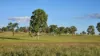 99 North Pattens Road, Boynewood, Qld 4626-Image