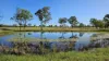 99 North Pattens Road, Boynewood, Qld 4626-Image