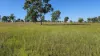 99 North Pattens Road, Boynewood, Qld 4626-Image