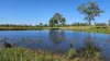 99 North Pattens Road, Boynewood, Qld 4626-Image