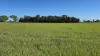 99 North Pattens Road, Boynewood, Qld 4626-Image