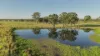 99 North Pattens Road, Boynewood, Qld 4626-Image
