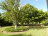 99 North Pattens Road, Boynewood, Qld 4626-Image
