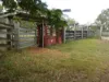 99 North Pattens Road, Boynewood, Qld 4626-Image