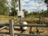 99 North Pattens Road, Boynewood, Qld 4626-Image