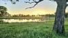99 North Pattens Road, Boynewood, Qld 4626-Image