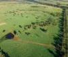 99 North Pattens Road, Boynewood, Qld 4626-Image