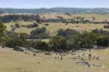 995 Lancefield-Pyalong Road, Nulla Vale, Vic 3435