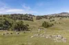 995 Lancefield-Pyalong Road, Nulla Vale, Vic 3435-Image