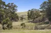 995 Lancefield-Pyalong Road, Nulla Vale, Vic 3435-Image