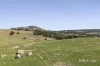 995 Lancefield-Pyalong Road, Nulla Vale, Vic 3435-Image