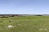 995 Lancefield-Pyalong Road, Nulla Vale, Vic 3435-Image