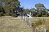 995 Lancefield-Pyalong Road, Nulla Vale, Vic 3435-Image