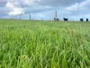Allot 91, Lower Nelson Road, Allendale East, SA 5291-Image