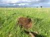 Allot 91, Lower Nelson Road, Allendale East, SA 5291-Image
