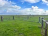 Allot 91, Lower Nelson Road, Allendale East, SA 5291-Image
