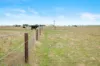 Allot 91, Lower Nelson Road, Allendale East, SA 5291-Image