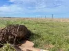 Allot 91, Lower Nelson Road, Allendale East, SA 5291-Image