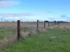 Allot 91, Lower Nelson Road, Allendale East, SA 5291-Image