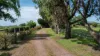 'Avon Park Farm' 310 Chocolyn Road, Camperdown, Vic 3260-Image