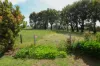 'Avon Park Farm' 310 Chocolyn Road, Camperdown, Vic 3260-Image