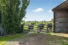 'Avon Park Farm' 310 Chocolyn Road, Camperdown, Vic 3260-Image
