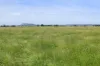 'Avon Park Farm' 310 Chocolyn Road, Camperdown, Vic 3260-Image