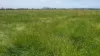 'Avon Park Farm' 310 Chocolyn Road, Camperdown, Vic 3260-Image