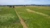 'Avon Park Farm' 310 Chocolyn Road, Camperdown, Vic 3260-Image