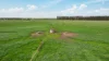 'Baroona' 33 North Road, Mortlake, Vic 3272-Image