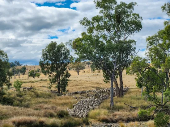 "Blacksprings" 7537 Stanthorpe-Texas Road, Texas, Qld 4385