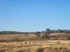 "Blacksprings" 7537 Stanthorpe-Texas Road, Texas, Qld 4385-Image